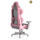 DXRacer Air Mesh Gaming Chair Modular Design Ultra-Breathable - Grey & Pink