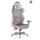 DXRacer Air Mesh Gaming Chair Modular Design Ultra-Breathable - Grey & Pink