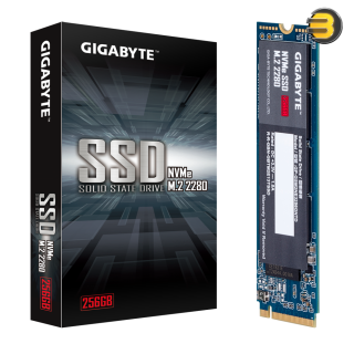 Gigabyte NVMe 1.3/ M.2/ PCIe 3.0x4/ 256GB SSD - GP-GSM2NE3256GNTD Gigabyte NVMe 1.3/ M.2/ PCIe 3.0x4/ 256GB SSD - GP-GSM2NE3256GNTD