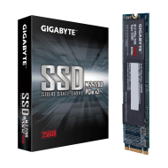 Gigabyte M.2 PCIe 256GB SSD (GP-GSM2NE8256GNTD)