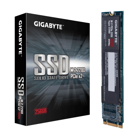 Gigabyte M.2 PCIe 256GB SSD (GP-GSM2NE8256GNTD)