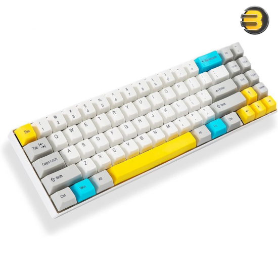 Ganss ALT 71 Wireless/Wired 2.4G + USB Mechanical Keyboard — Cherry MX Brown Switch for Mac and Windows - PBT Keycaps for Desktop and Laptop Computer - 71 Keys (Can Be Customize to 68 Keys Layout)