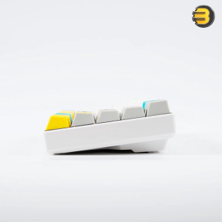 Ganss ALT 71 Wireless/Wired 2.4G + USB Mechanical Keyboard — Cherry MX Brown Switch for Mac and Windows - PBT Keycaps for Desktop and Laptop Computer - 71 Keys (Can Be Customize to 68 Keys Layout)