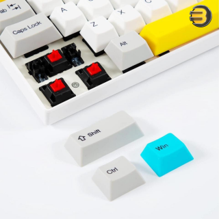 Ganss ALT 71 Wireless/Wired 2.4G + USB Mechanical Keyboard — Cherry MX Brown Switch for Mac and Windows - PBT Keycaps for Desktop and Laptop Computer - 71 Keys (Can Be Customize to 68 Keys Layout)
