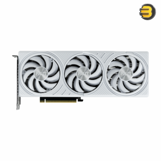 Palit GeForce RTX 5070 White OC 保証書なし Palit Products
