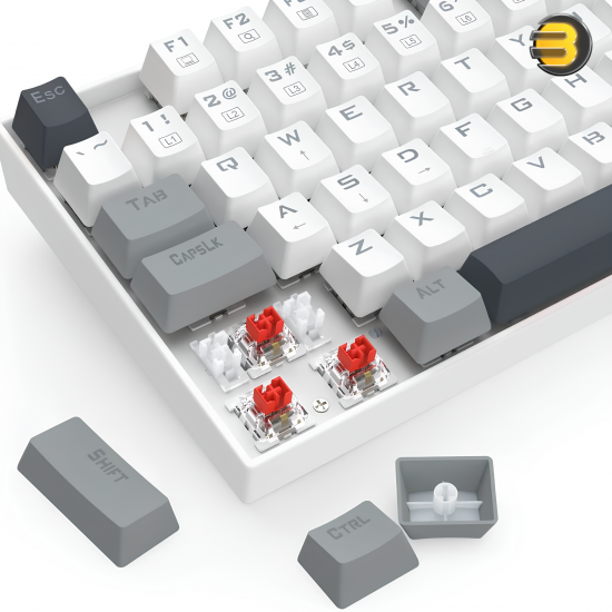 Redragon K552 WGL‑R KUMARA Tenkeyless 87‑Key Wired Mechanical Gaming Keyboard — Outemu Red Switches, Rainbow LED Backlight, Full‑Key Anti‑Ghosting, Double‑Shot Keycaps, Hot‑Swap, White/Gray, Metal‑ABS Frame