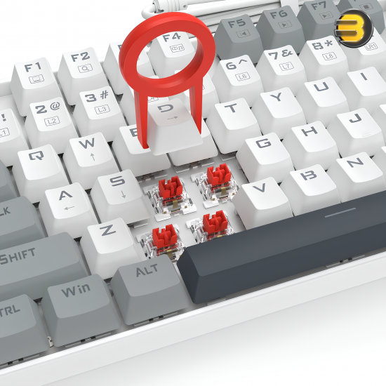 Redragon K552 WGL‑R KUMARA Tenkeyless 87‑Key Wired Mechanical Gaming Keyboard — Outemu Red Switches, Rainbow LED Backlight, Full‑Key Anti‑Ghosting, Double‑Shot Keycaps, Hot‑Swap, White/Gray, Metal‑ABS Frame