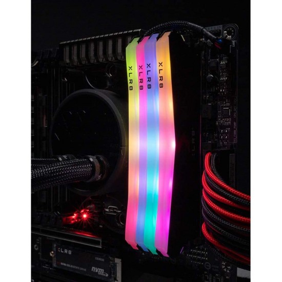 PNY 16GB (2x8GB) XLR8 Gaming Epic-X RGB DDR4 3200MHz Desktop Memory – (MD16GK2D4320016XRGB)